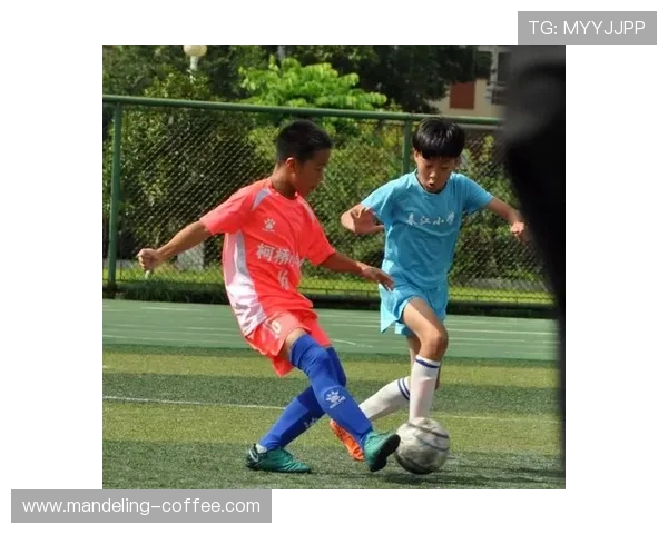 杭州足球队防守反击策略分析及其成败得失探讨 杭州足球队防守反击策略分析及其成败得失探讨