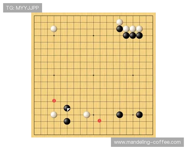 武汉排球队防守策略深度分析与战术解读 武汉排球队防守策略深度分析与战术解读