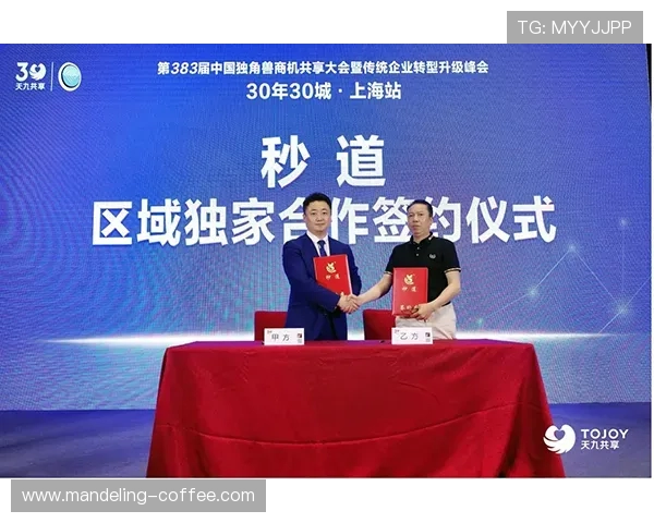 深入分析RNG战队防守策略与战术布局的成功之道 深入分析RNG战队防守策略与战术布局的成功之道