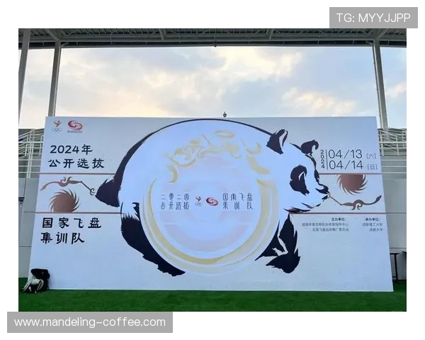 武汉飞盘队逆袭之路:从挑战到革新全面解析团队成长与突破 武汉飞盘队逆袭之路:从挑战到革新全面解析团队成长与突破