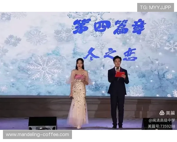 深圳网球队的辉煌征程与冠军赛背后的奋斗故事 深圳网球队的辉煌征程与冠军赛背后的奋斗故事