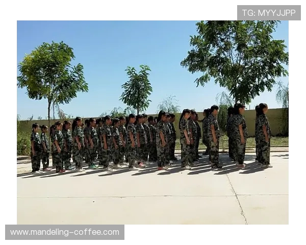 王军畅谈英雄联盟职业生涯的成长与挑战分享 王军畅谈英雄联盟职业生涯的成长与挑战分享