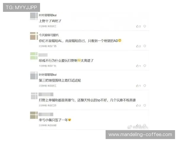 英雄联盟巨献：探秘JDG的比赛经验