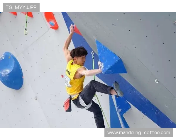 西安攀岩队在全国速度排行榜中荣获第八名展现实力与潜力