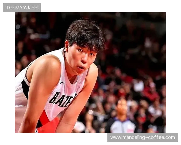 勇士与开拓者激战回顾2010年4月14日精彩瞬间与赛季总结