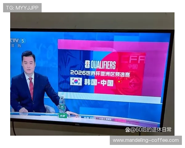 国足惜败韩国2比3央视直播精彩瞬间回顾与分析