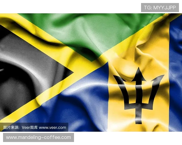 巴巴多斯与牙买加激战在即球迷期待精彩对决与历史交锋