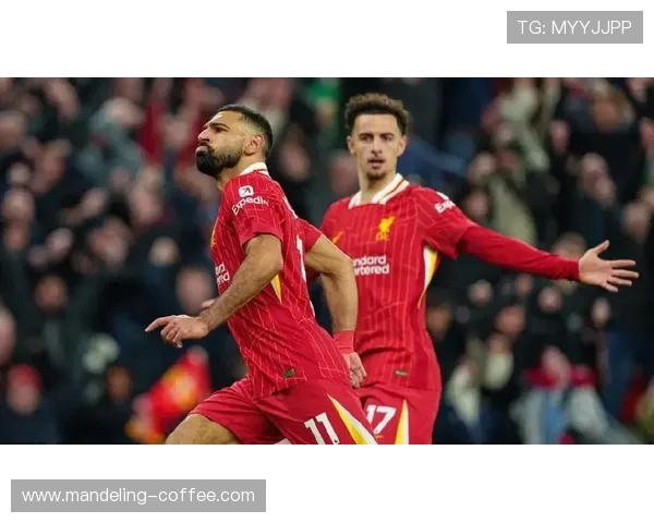 布莱顿与利物浦精彩对决视频回顾及赛后分析分享