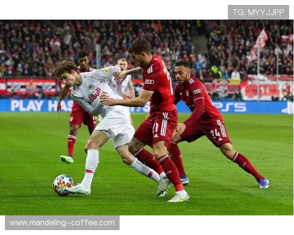 拜仁与利物浦比赛分析大小球对比及战术解析