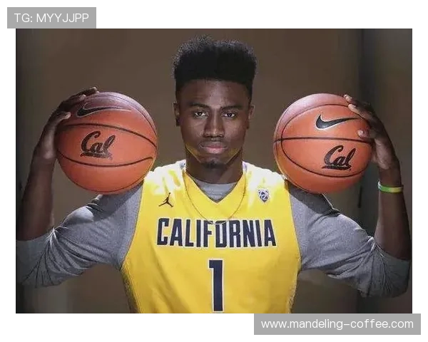 杰伦布朗在NBA赛季中的精彩表现与未来发展潜力分析