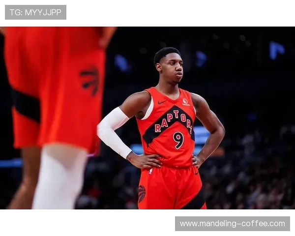 火箭队与猛龙队2019年精彩对决最新视频回顾与分析