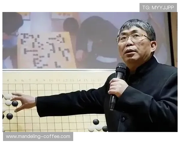 聂卫平与戎毅的围棋对决：智者之间的巅峰较量与心灵碰撞