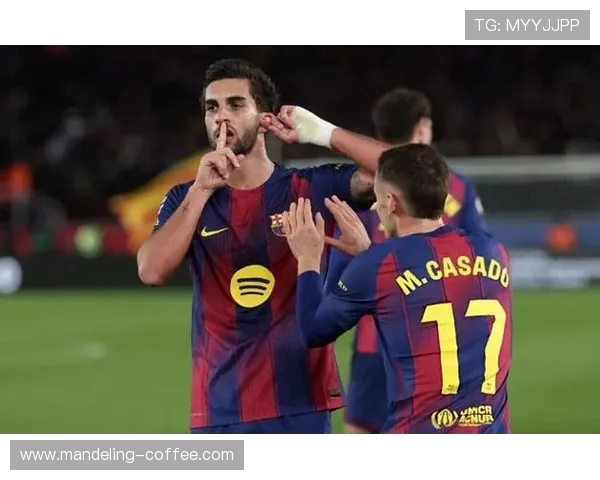 费兰托雷斯的崛起之路：从青训天才到足球明星的成长历程