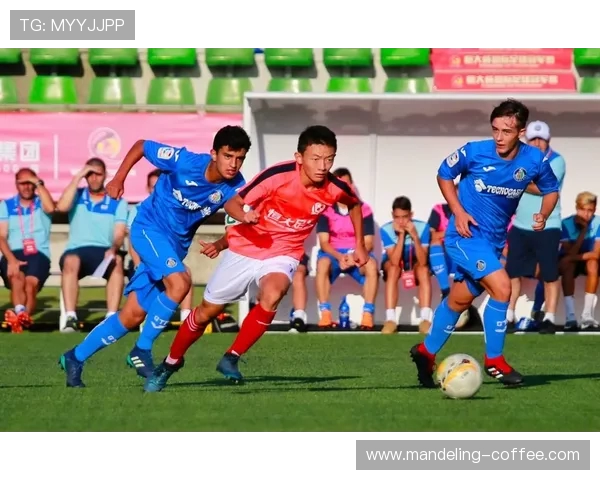 重庆飞盘队耐力对比深度解析与训练策略探讨 重庆飞盘队耐力对比深度解析与训练策略探讨