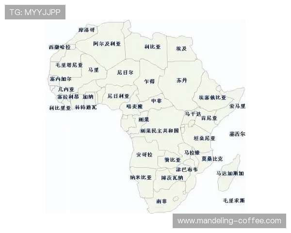 阿尔及利亚与尼日利亚的足球对决分析及历史回顾