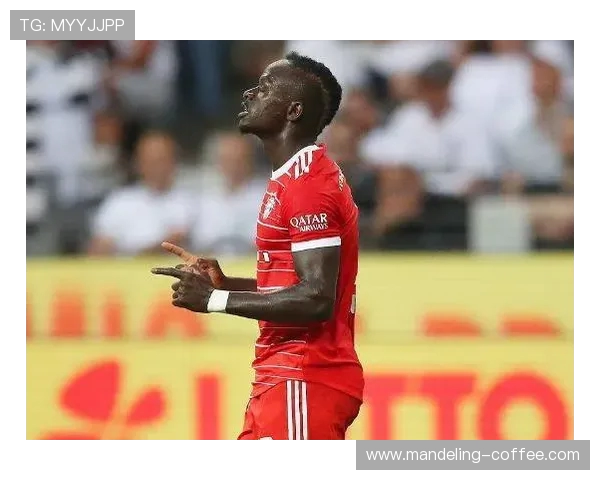 马内与诺伊尔的巅峰对决谁将成为赛场上的英雄与传奇