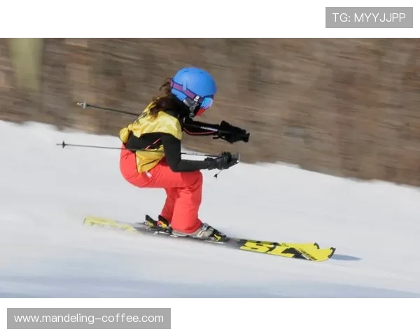 王娜独家分享羽毛球技巧与心得助你提升竞技水平与比赛表现 王娜独家分享羽毛球技巧与心得助你提升竞技水平与比赛表现