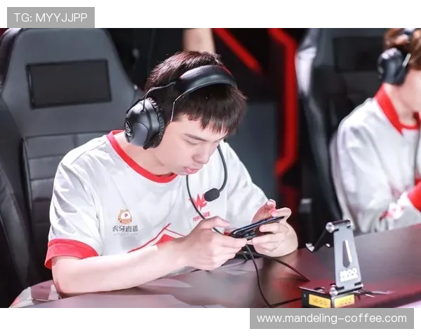 王者荣耀深度解析：探讨WE战队的团队协作与战术配合之道