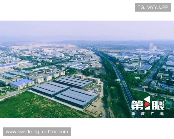 重庆足球队的洲际杯征程与突破历程全景回顾