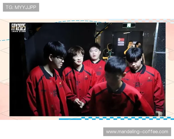 FPX战队意识对比深度解析揭示团队协作与个人发挥的关键因素