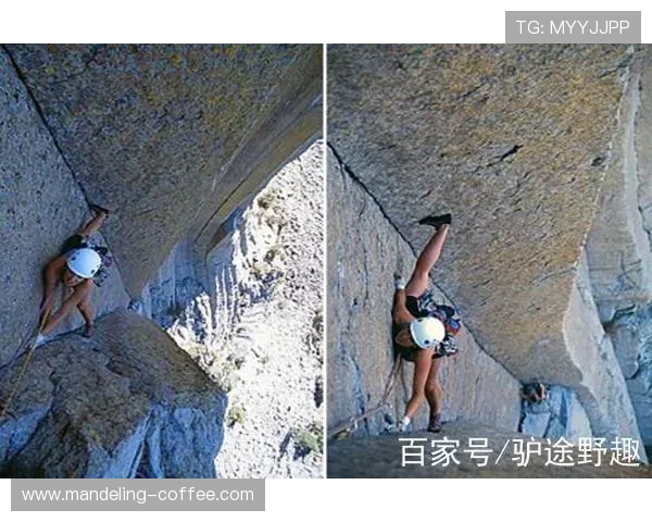 上海攀岩队的阵地战分析与反思:成功与挑战并存的攀岩之路 上海攀岩队的阵地战分析与反思:成功与挑战并存的攀岩之路