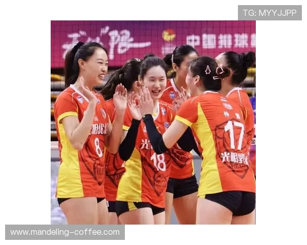 上海排球队团队协作能力大幅提升创新高引领全国排球新风潮