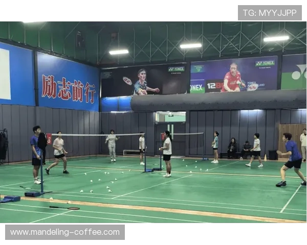 上海羽毛球队阵地战解析：战术布局与选手表现的深度剖析