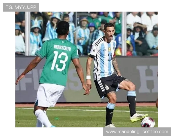 南京网球队以88分领跑欧锦赛积分榜展现强劲实力