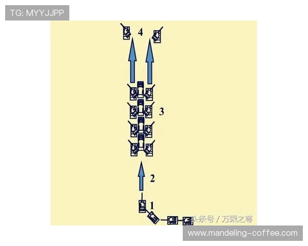 广州乒乓球队进攻战术解析与实战应用探讨