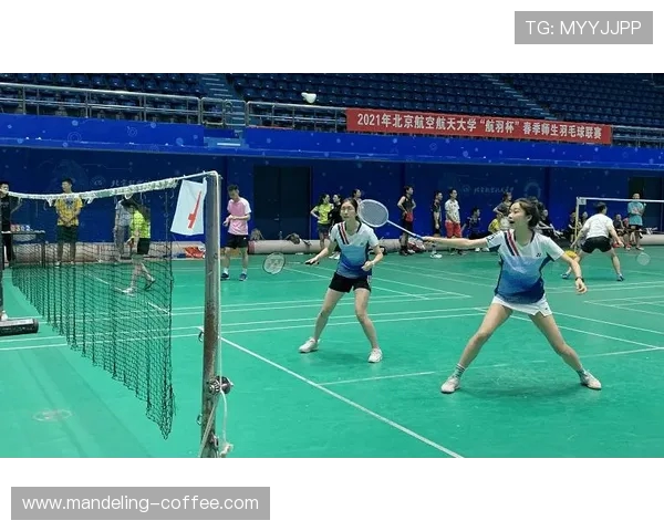 成都羽毛球队节奏表现分析：数据揭示运动员的竞技状态与战术优势