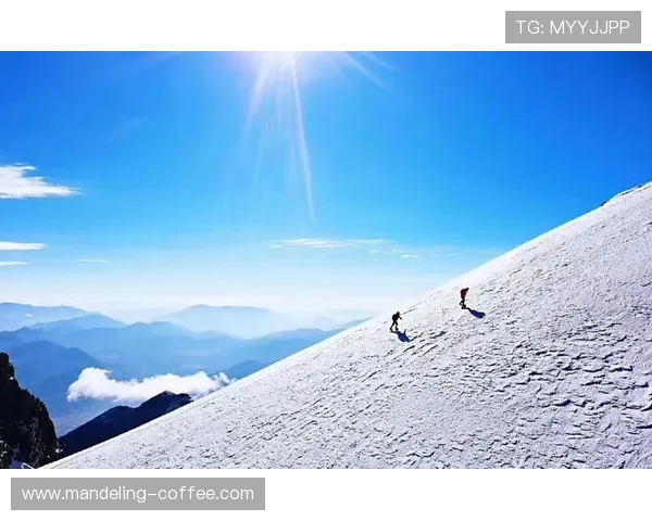 攀岩爱好者赵静的独特心得与技巧分享让你轻松征服高峰