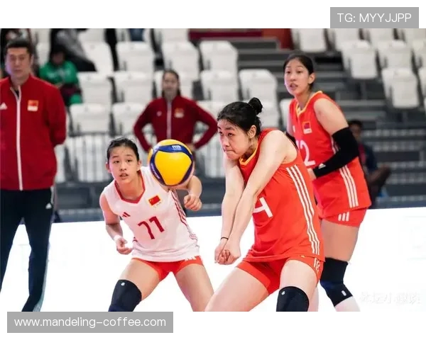 杭州排球队在世锦赛中的个人能力展现与战术配合分析