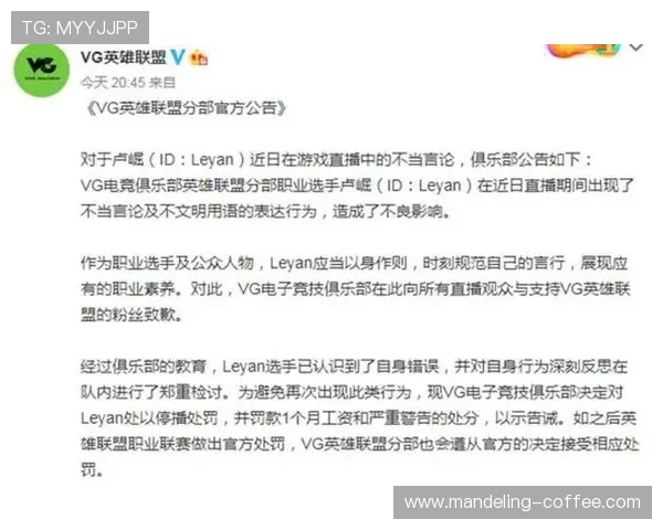 王者荣耀战略分析:TES团队协作的成功秘诀与实践探讨 王者荣耀战略分析:TES团队协作的成功秘诀与实践探讨